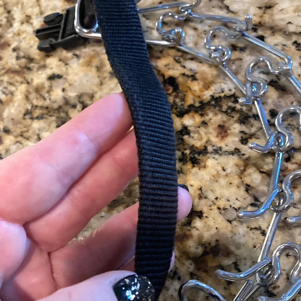 Training Prong Collar